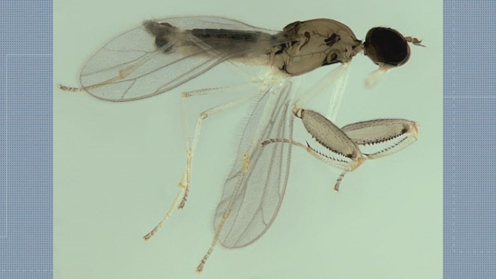 foto Not&iacute;cia Volta Redonda